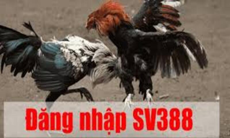 Đăng nhập SV388