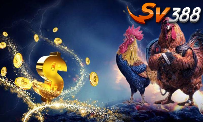 Ưu điểm sv388