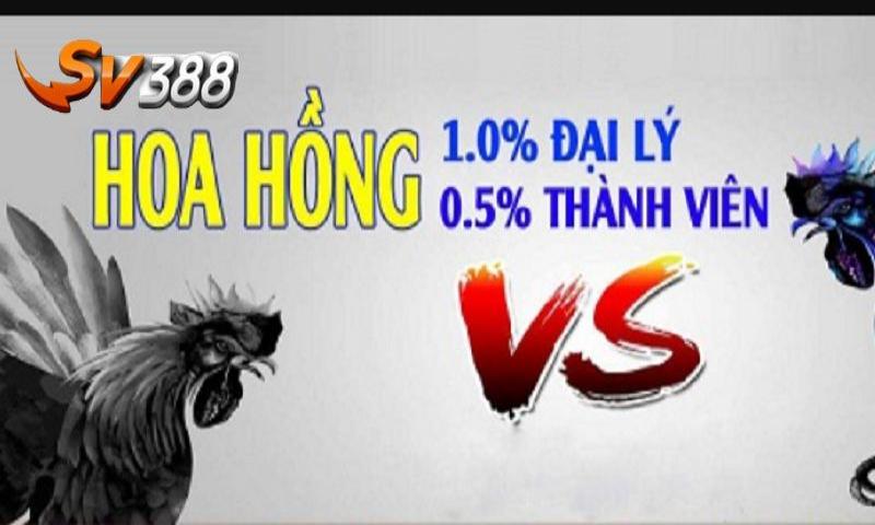 Cập nhật chính sách hoa hồng