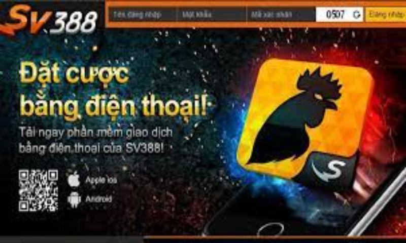 Các tính năng cơ bản trên ứng dụng SV388